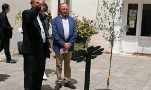 Albero Ricordo