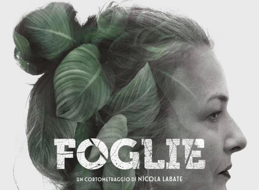 Copertina Foglie