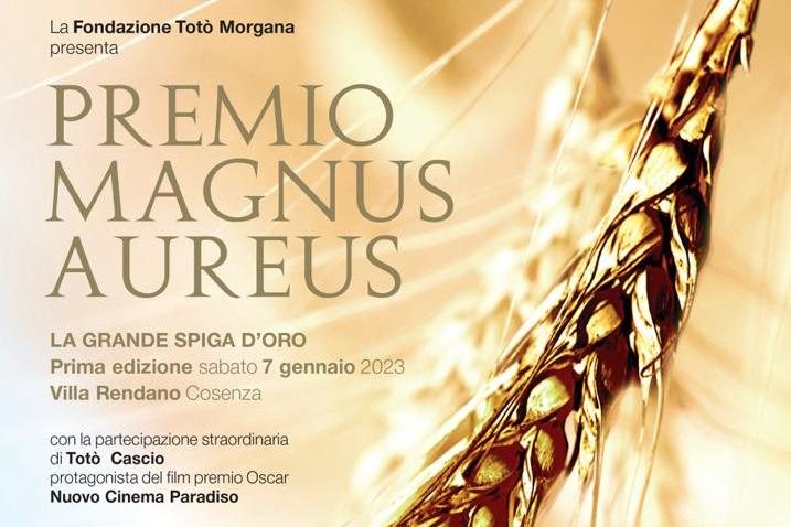 Premio Magnus Aureus