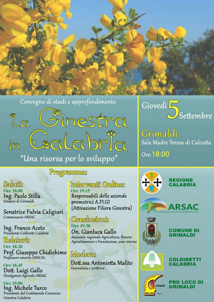 Convegno Sulla Ginestra