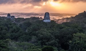 Petén - Tikal