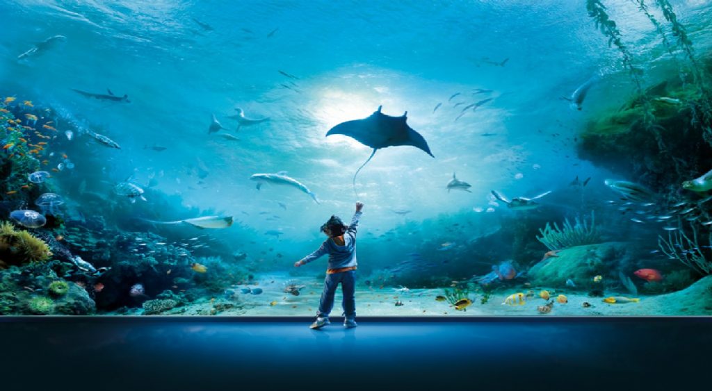 The largest aquarium in Europe? Let's find out together | Genova's aquarium