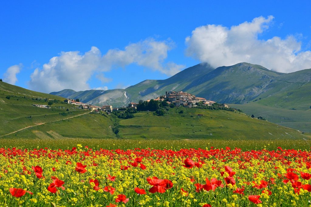 i-love-norcia