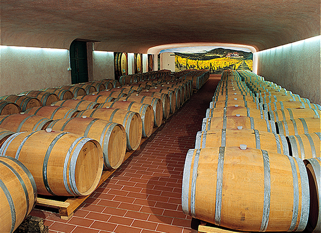 La produzione del vino: dalla raccolta al bicchiere, una passione tutta italiana