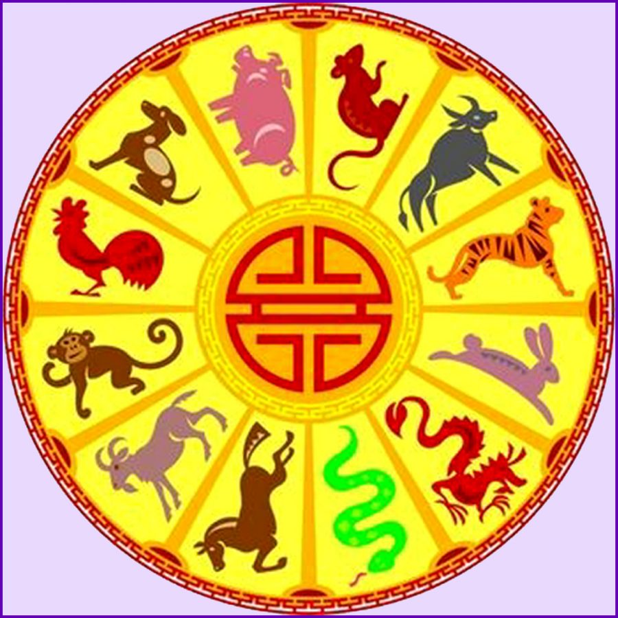 Oroscopo Cinese: ogni anno del ciclo è associato ad un animale