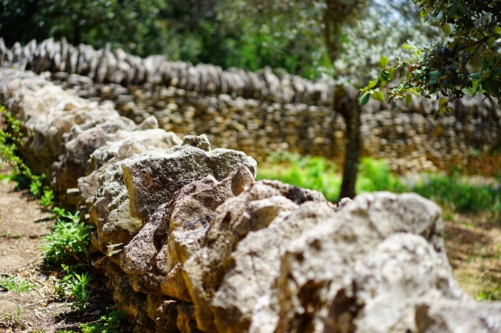 confini di campagna