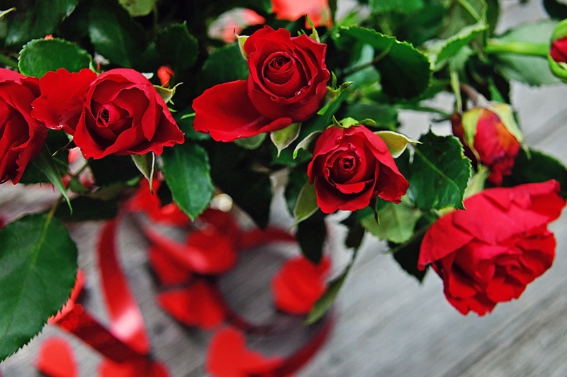 san valentino- rose care a San Valentino