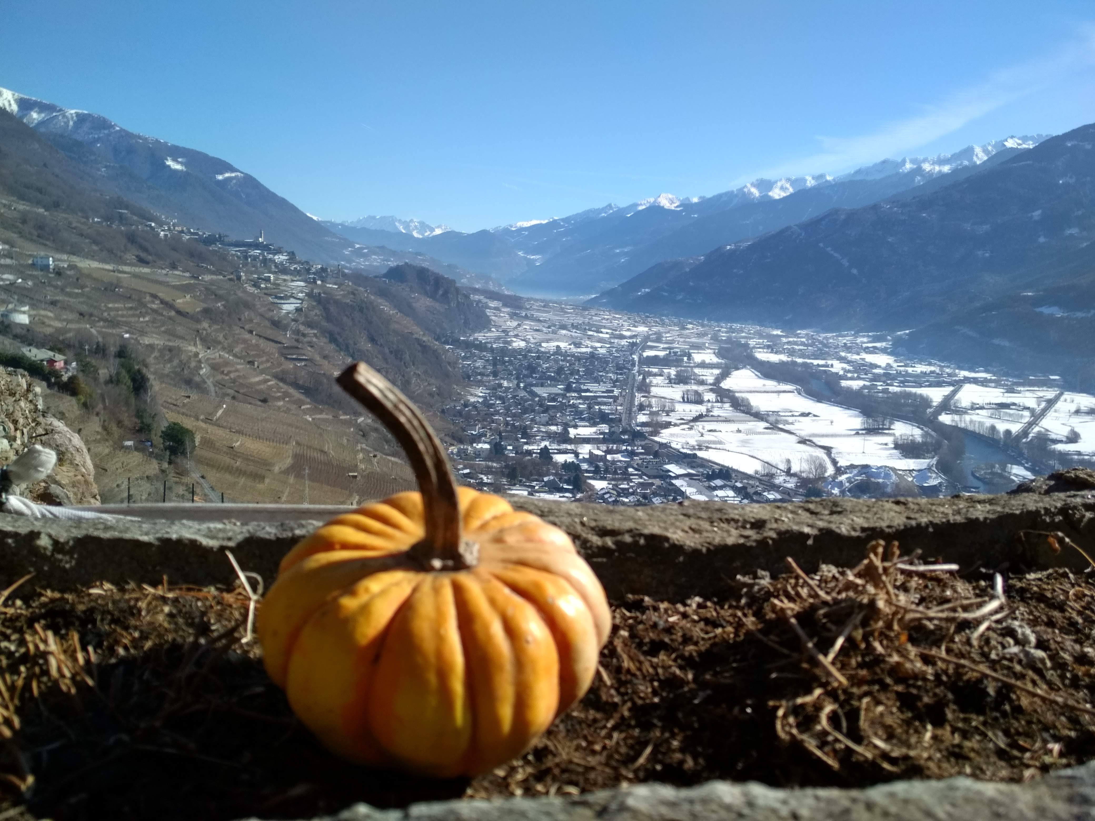 panoramas of the Valtellina - landscape with pumpkin in the foreground