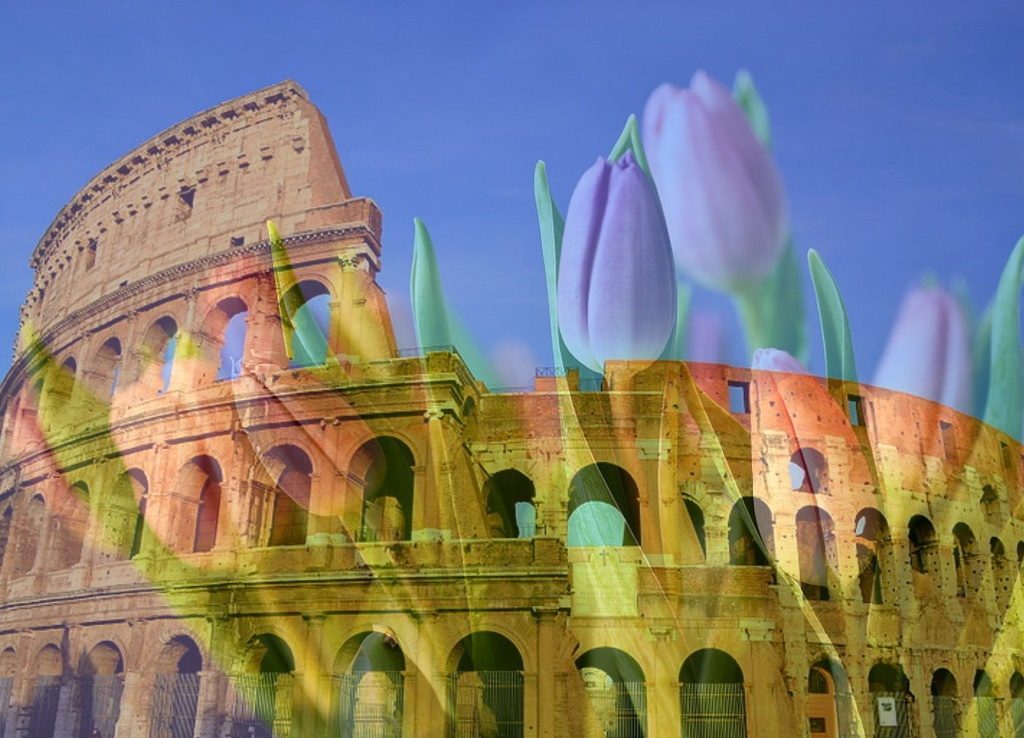 tulipark - image of the Colosseum against a background of tulips