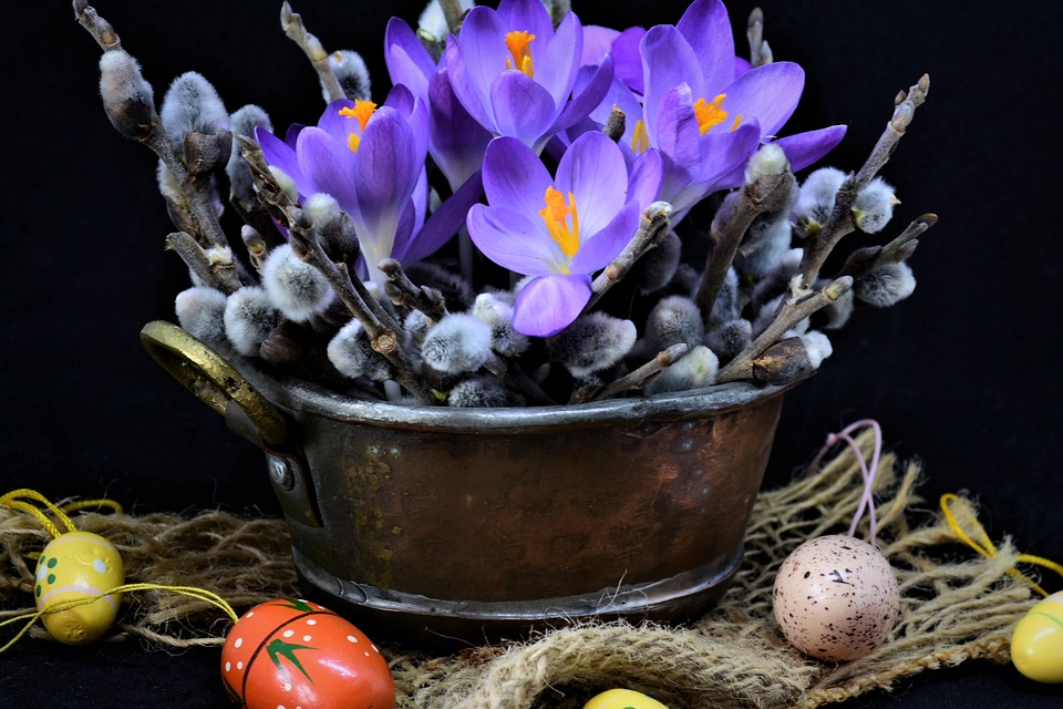 easter - potted flowers