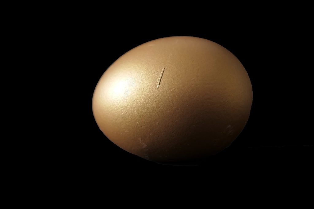 Uovo di Pasqua. Un uovo rivestito di una lamina dorata spicca sullo sfondo nero
