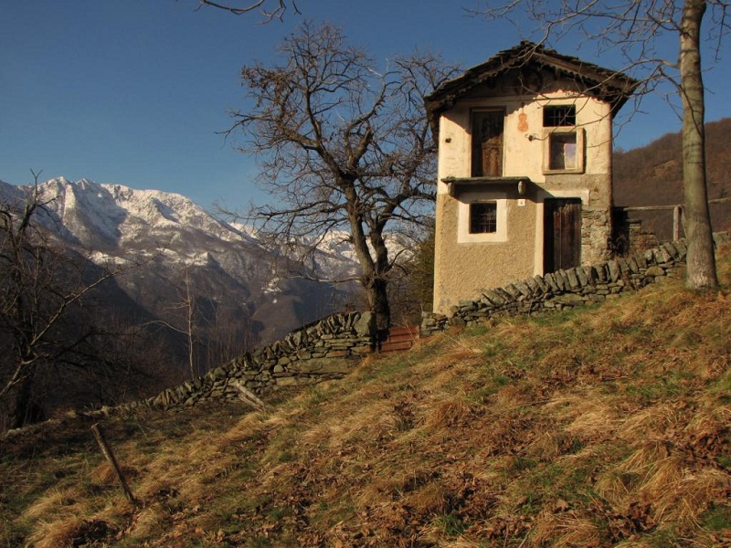 Casa del violinista