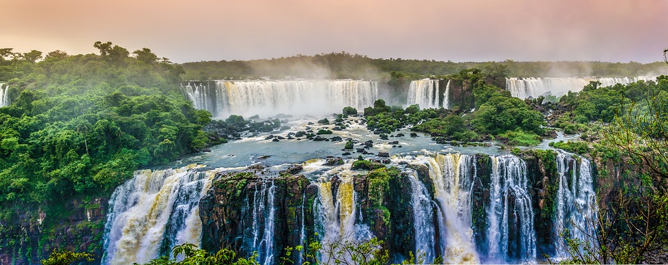 Amazonia en llamas - v