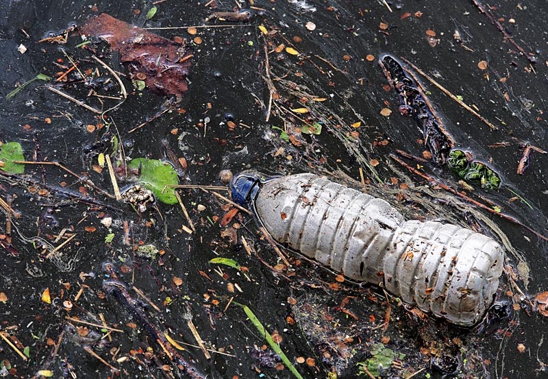 Mid-August - Plastic bottle in water