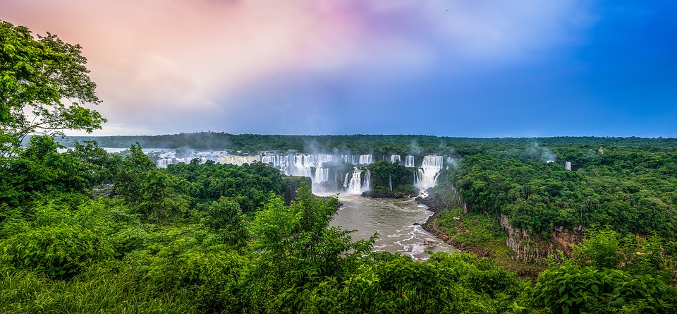 Amazonian green area