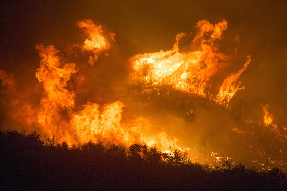 Amazonia on fire - forest burning