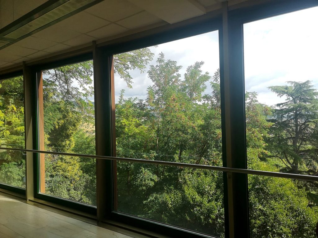 le vetrate dell' Accademia di Belle Arti di Catanzaro che danno sugli alberi 