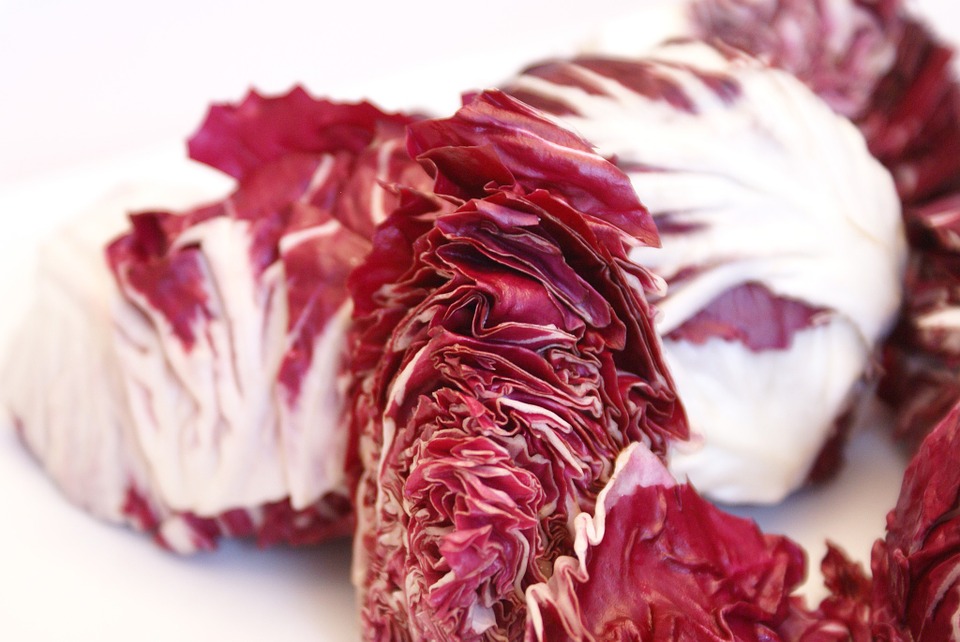 Roots and Fasioi - round red radicchio cut in half