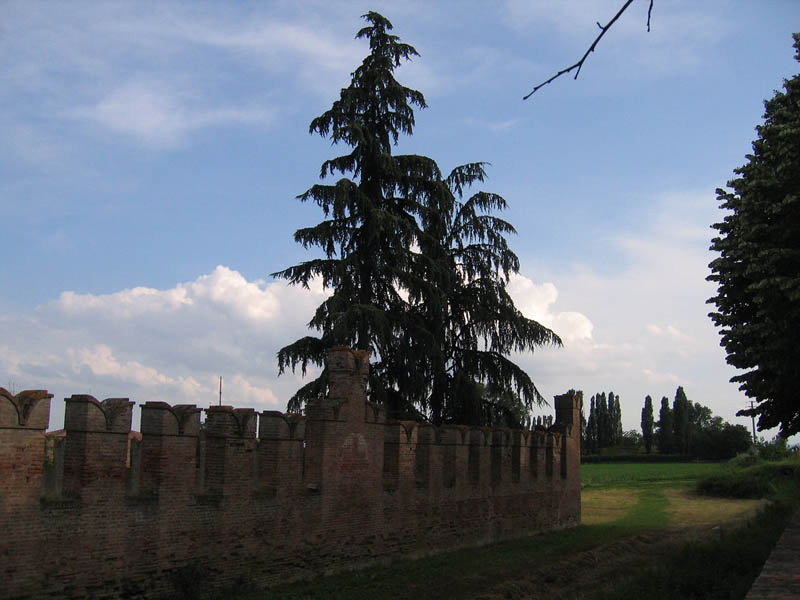 Mura di uno dei Castelli di Bologna