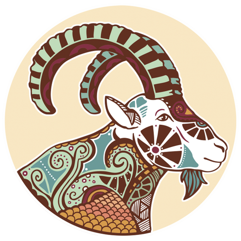 capricorn horoscope 2020 - capricorn