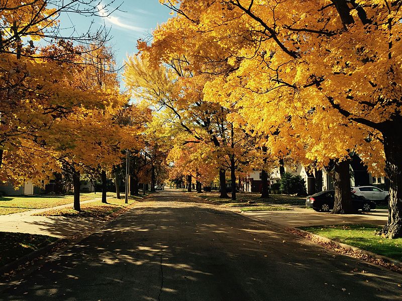 boulettes-paysage d'automne