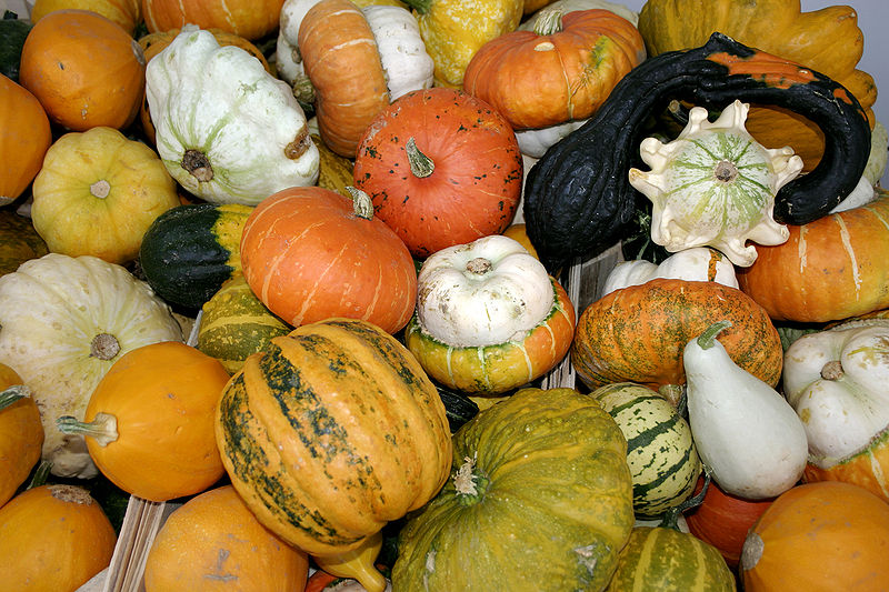 gnocchi-pumpkins