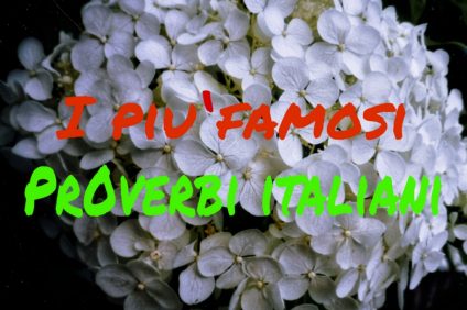 bouquet of flowers with writing: the most famous Italian proverbs -