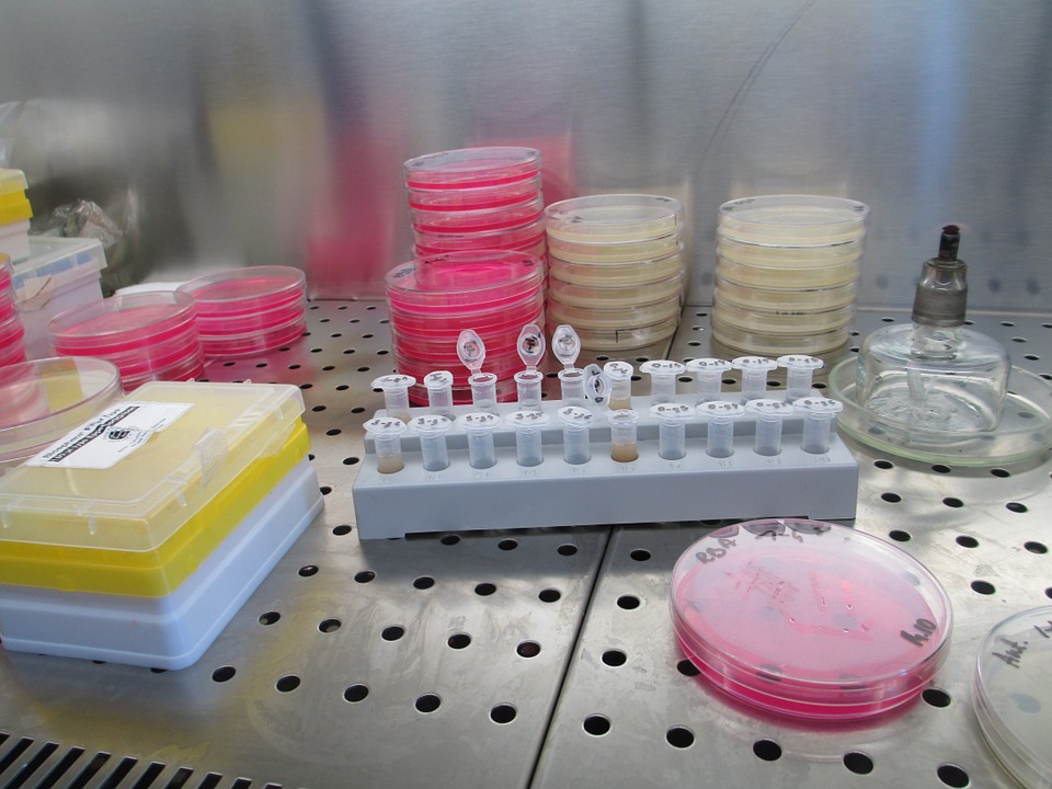 virus isolated in the laboratory