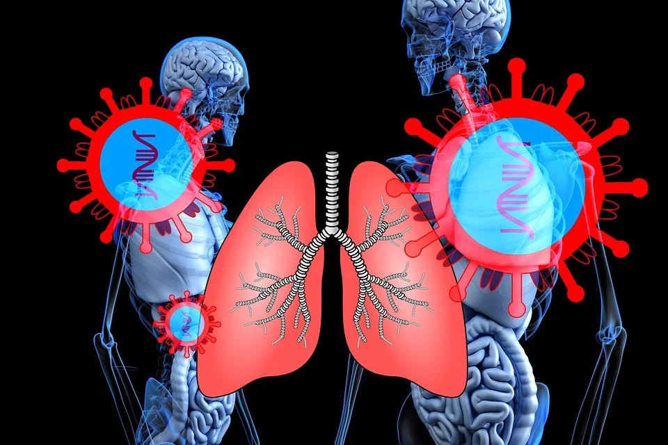 coronavirus emercency skeletons