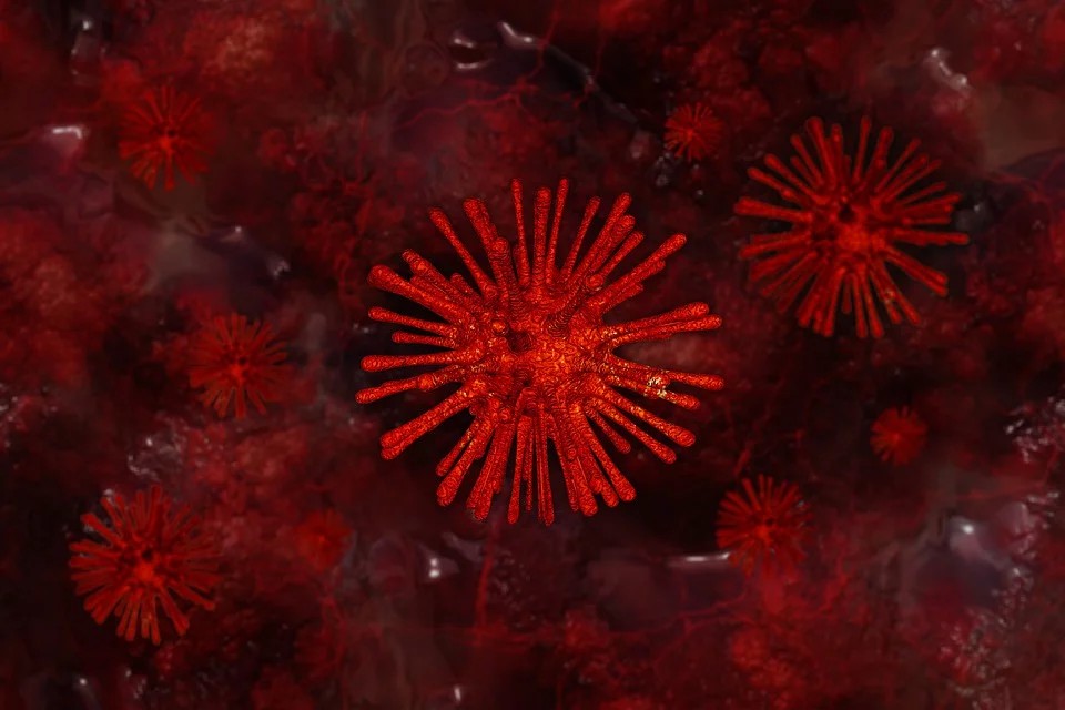 Anticorpo 47D11 - immagine di un virus
