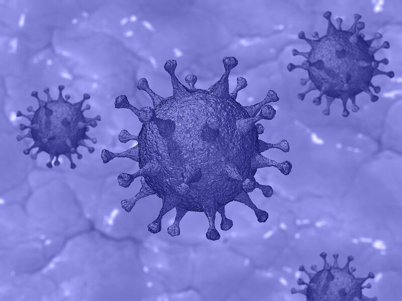cellula del virus 