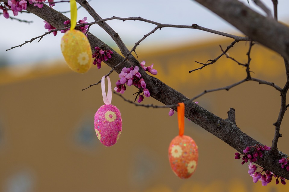 rinascita con albero di pasqua