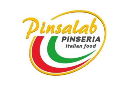 logotipo pinsalab