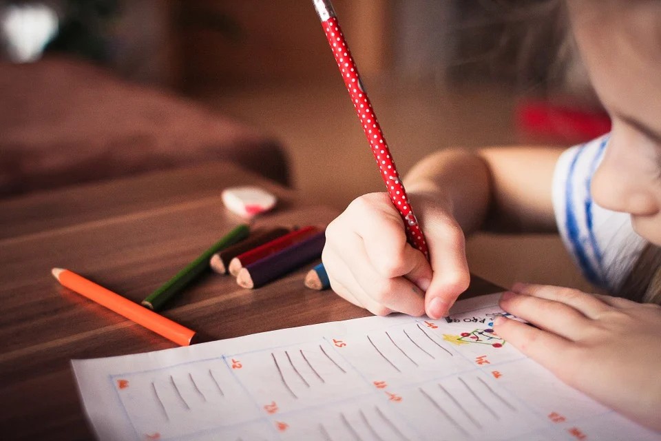 Écoles à la ferme - enfant au crayon rouge