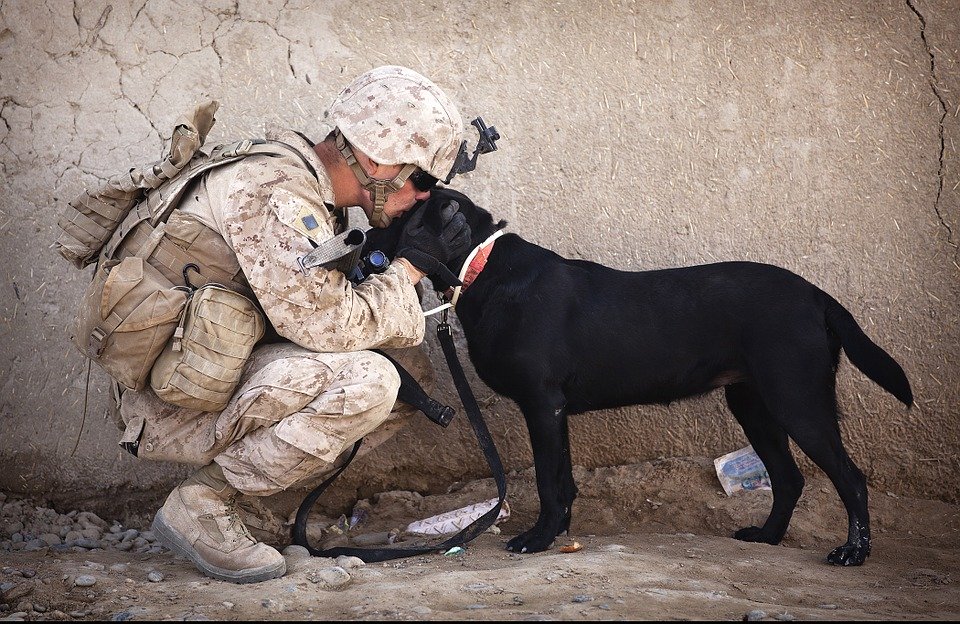 Militaire italien avec chien