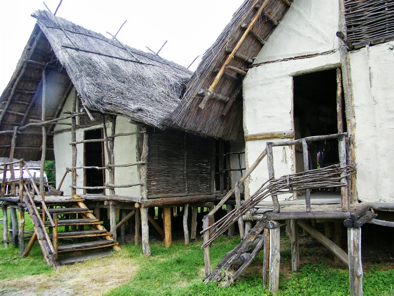 museums - Archaeological park and open-air museum of the Terramara di Montale