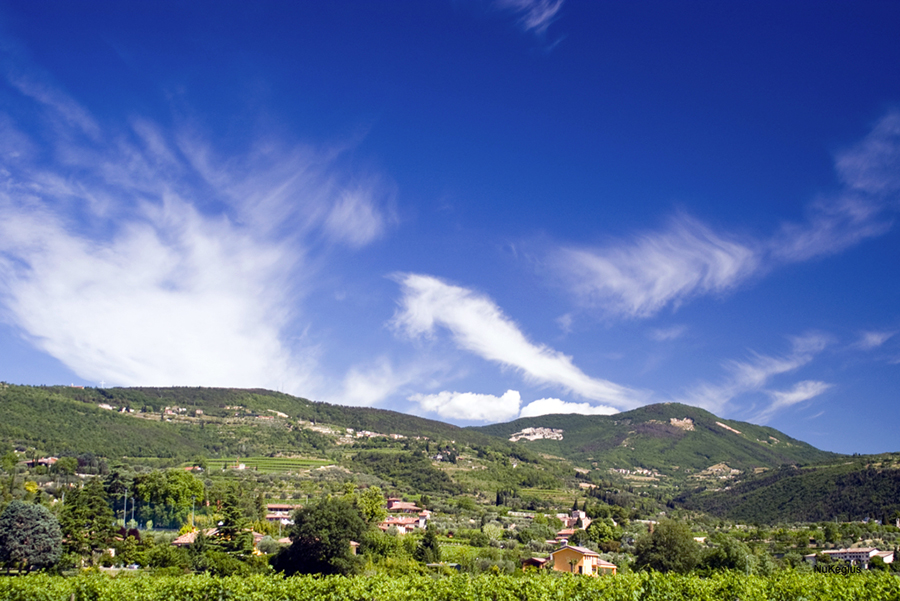 A mosaic - panorama of Valpolicella - view of valpolicella