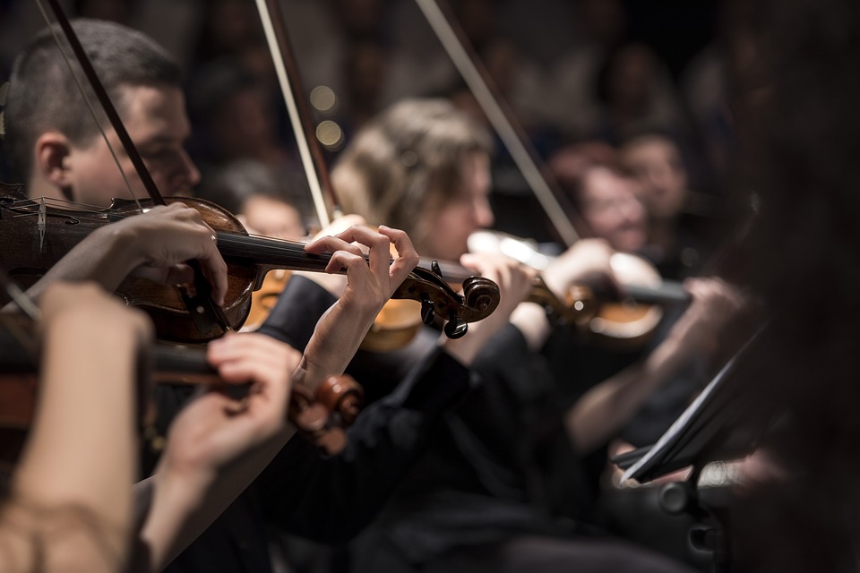 concert performers