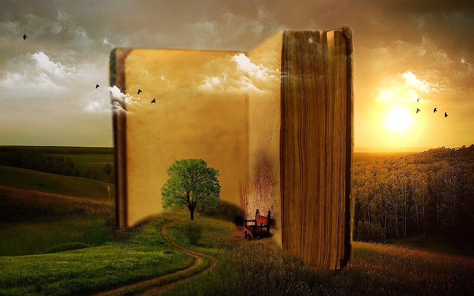 aforismi - enorme libro con albero e una sedia