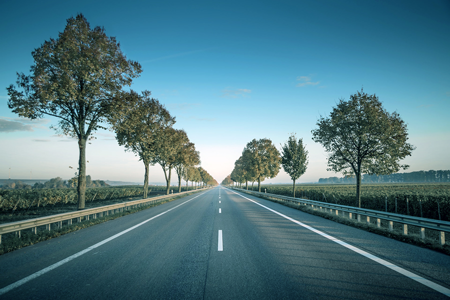 cavaliere - una strada asfaltata - knight - an asphalt road