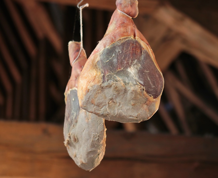 Lézard dans une assiette, et produits italiens