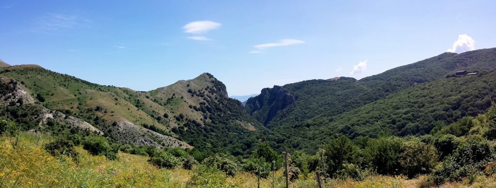 la madonie ou poussent les tulipes