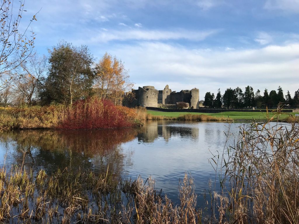 Les vestiges d'un château en Irlande