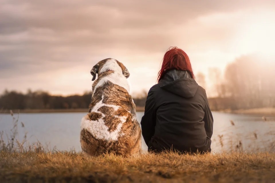 More attention is required on World Dog Day