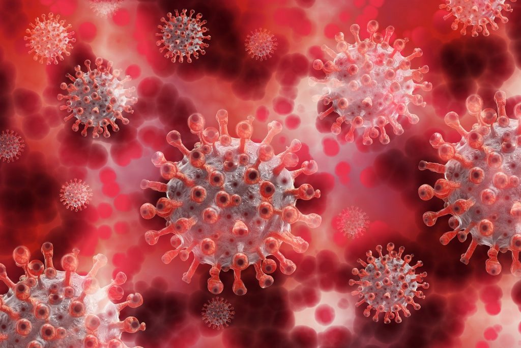 vaccino italiano - cellula del virus