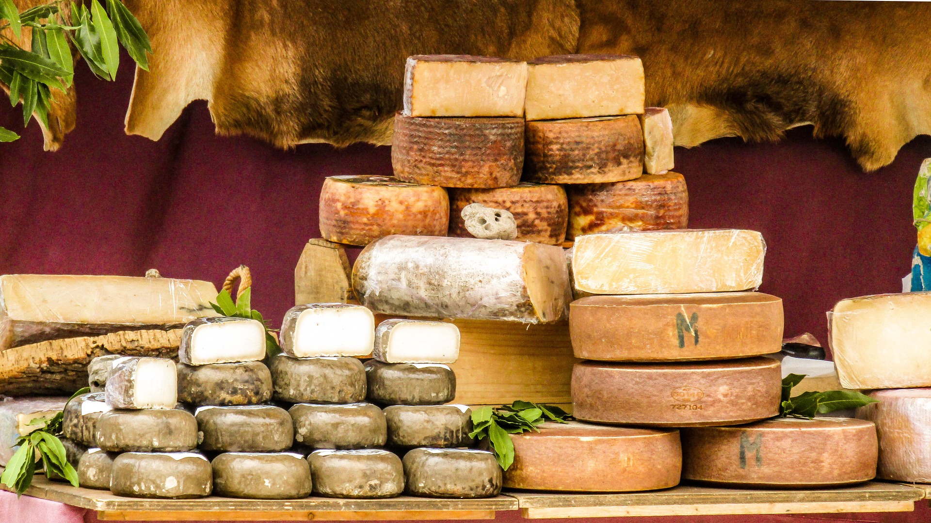 Les fromages italiens, une grande passion ! - italiani.it