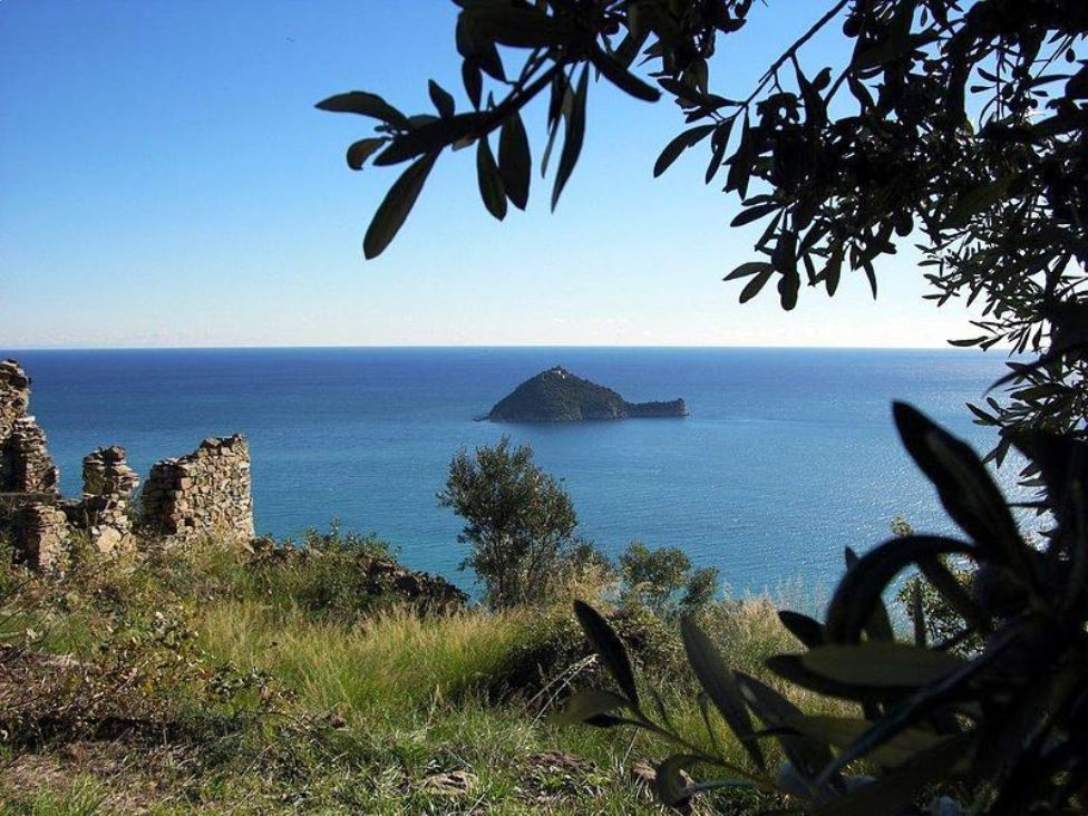 Insel Gallinara vom Strand aus gesehen