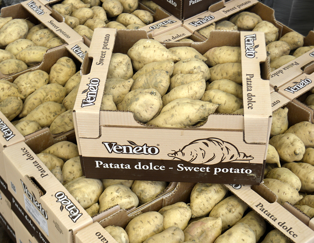 Patate Americane