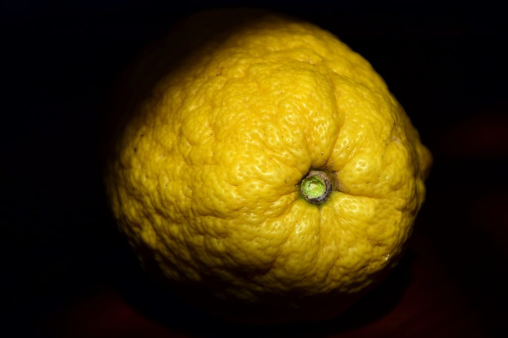 the typical citrus fruit of the Riviera dei Cedri