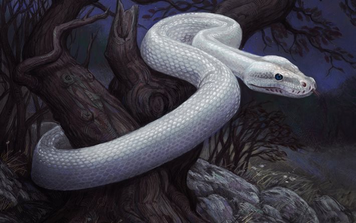 25 ideias de Cobra  belas cobras, cobras, serpente